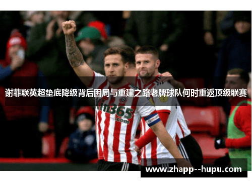 谢菲联英超垫底降级背后困局与重建之路老牌球队何时重返顶级联赛 谢菲联英超垫底降级背后困局与重建之路老牌球队何时重返顶级联赛